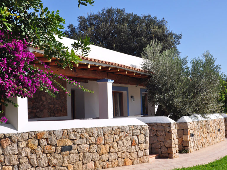 Ondernemersreis: Ibiza